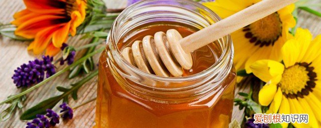 吃羊肉喝蜂蜜水可以吗 吃羊肉能喝蜂蜜水吗