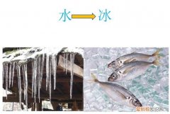 水的特点是什么，水的特征是什么5个