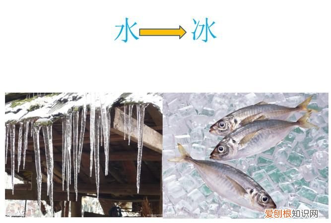 水的特点是什么，水的特征是什么5个