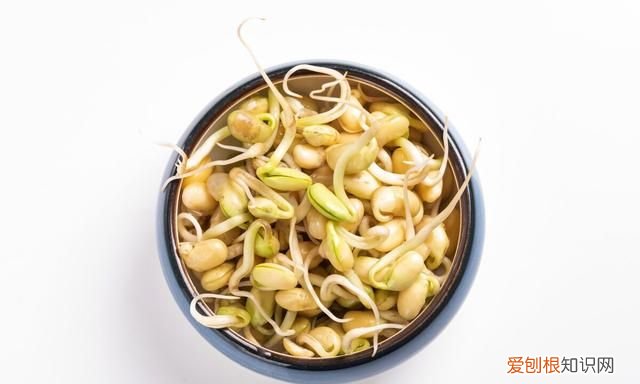 这六种食物发芽之后营养价值更高