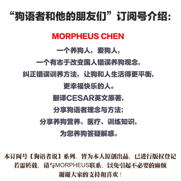 今晚吃狗肉,用狗语怎么说?，【狗语者说-104-】“养狗十问”-答对了这些问题你就可以养狗了