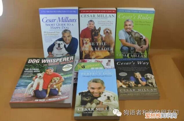 今晚吃狗肉,用狗语怎么说?，【狗语者说-104-】“养狗十问”-答对了这些问题你就可以养狗了
