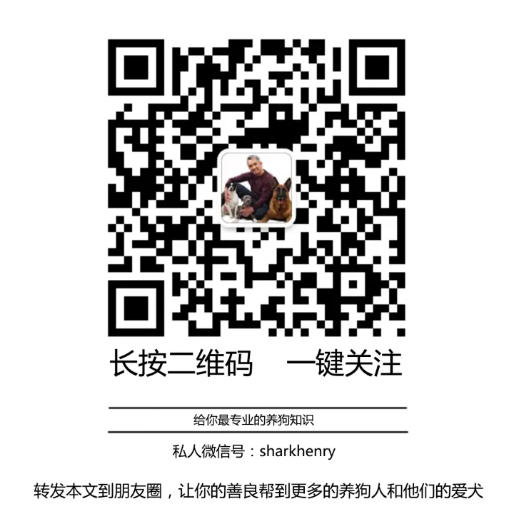 今晚吃狗肉,用狗语怎么说?，【狗语者说-104-】“养狗十问”-答对了这些问题你就可以养狗了