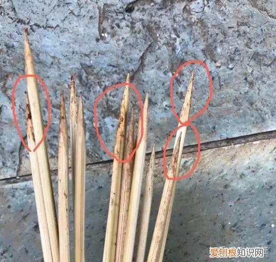 乡村养花匠，养花30年的老花匠，透漏5个“小秘方”，再也不怕养花出问题了