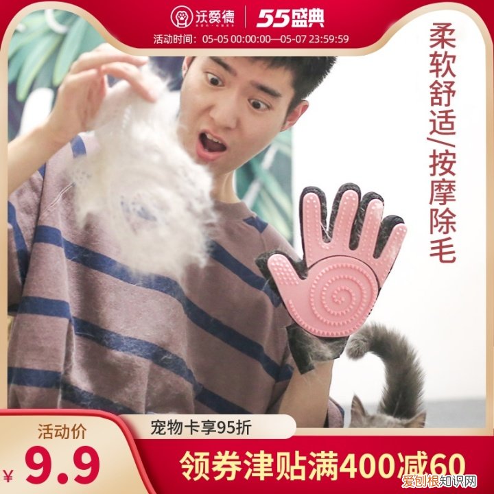 第一次养猫咪需要注意什么，第一次养猫需要准备什么以及了解哪些知识？