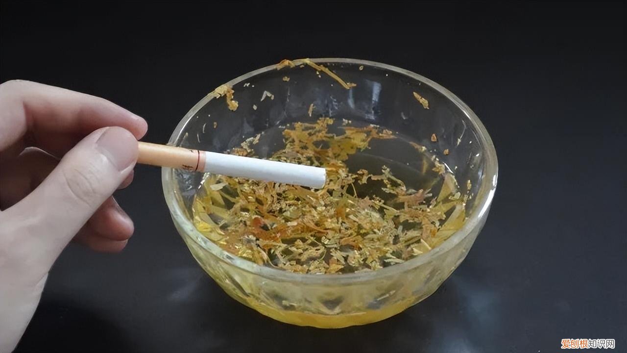 浇水就能开的花，6种“水”，拿来浇花，花草长势更旺，叶子更油绿，开花更鲜艳