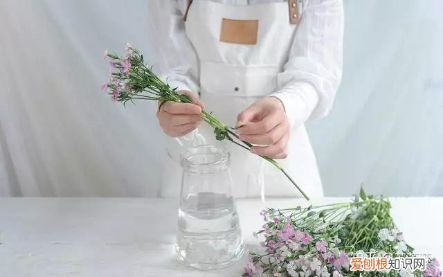 常用花材养护技巧,常用花材养护技巧