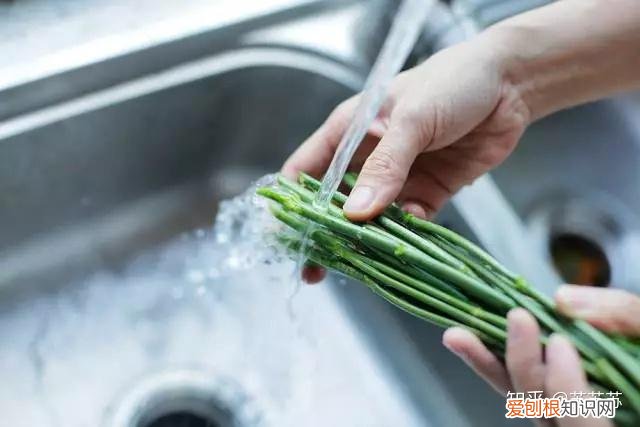 常用花材养护技巧,常用花材养护技巧