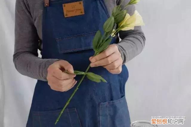 常用花材养护技巧,常用花材养护技巧