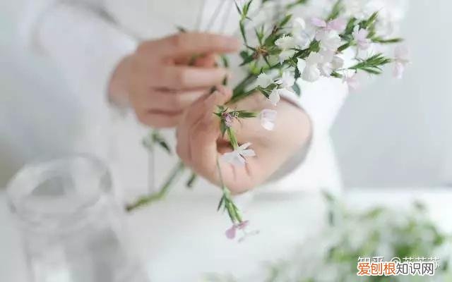 常用花材养护技巧,常用花材养护技巧