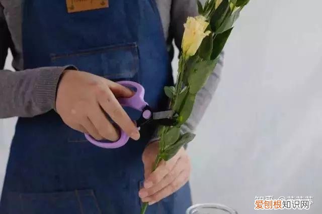 常用花材养护技巧,常用花材养护技巧