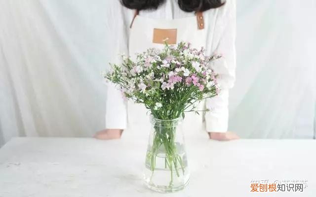 常用花材养护技巧,常用花材养护技巧