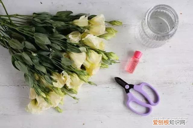 常用花材养护技巧,常用花材养护技巧