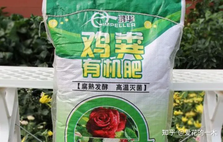 合理施肥的6句要诀，会养花却不会施肥？记住这“6大口诀”，轻松养爆100盆花