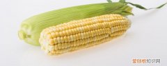 喝了酸奶可以吃玉米吗 吃玉米能喝酸奶吗