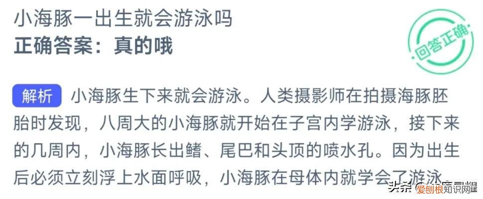 支付宝今日答题的答案是什么功亏一篑，支付宝每日答题答案大全——今日答案