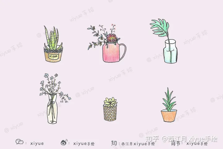 一盆植物的简笔画，今天来画一画你家的盆栽绿植们～ 【简笔画公开课No.3】