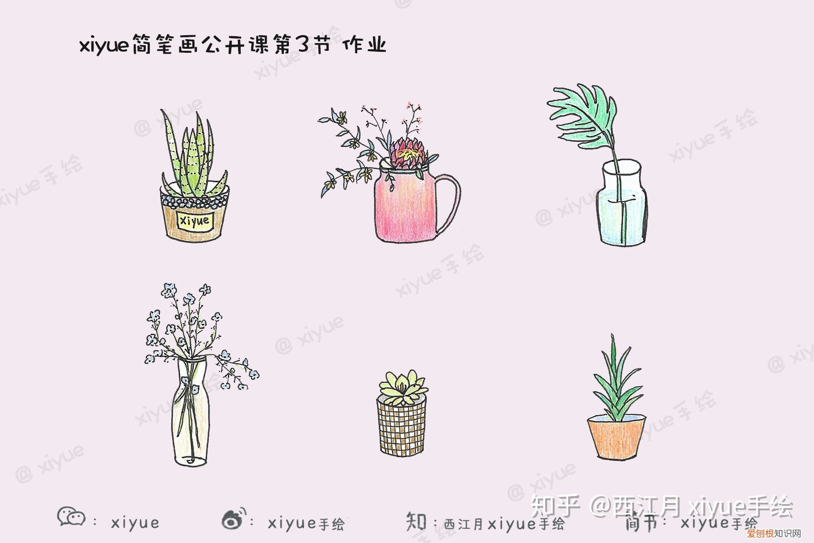 一盆植物的简笔画，今天来画一画你家的盆栽绿植们～ 【简笔画公开课No.3】