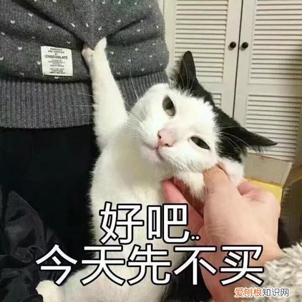 tf金箔唇膏怎么样