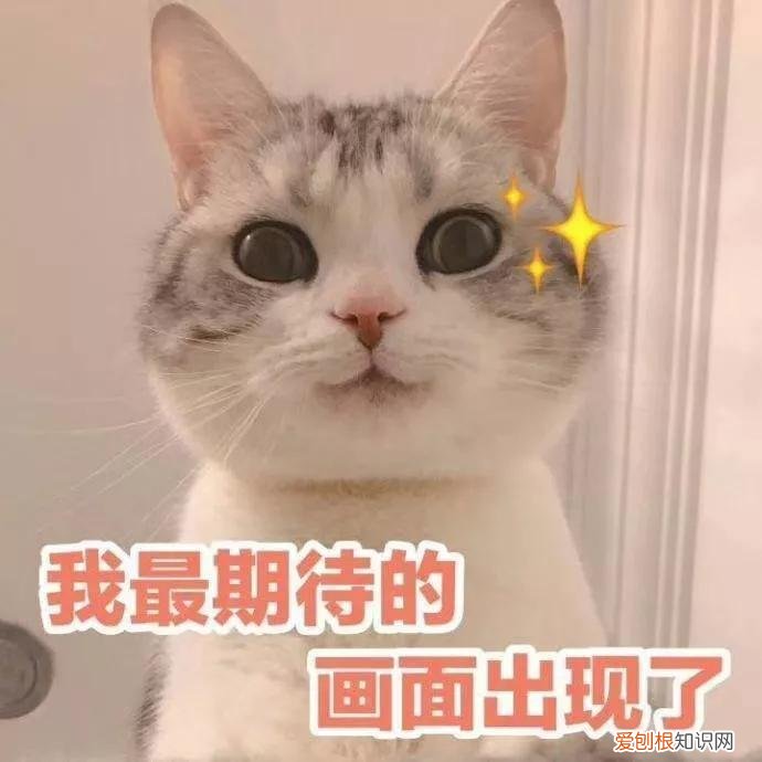 tf金箔唇膏怎么样