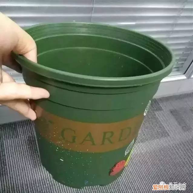 养花的技巧如何能养好花，学会这20个小技巧，家里的花想养死都难！
