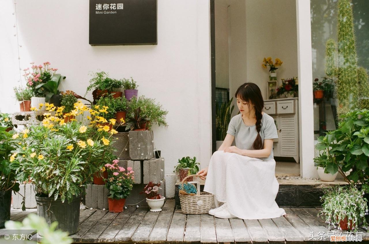 养花的诀窍，家庭养花16个小窍门，自家养花无忧指南，花妹儿祝花友狗年旺旺
