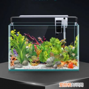 有才，把养鱼心得写成了顺口溜 养鱼经典语录，养鱼十大坑+养鱼口诀