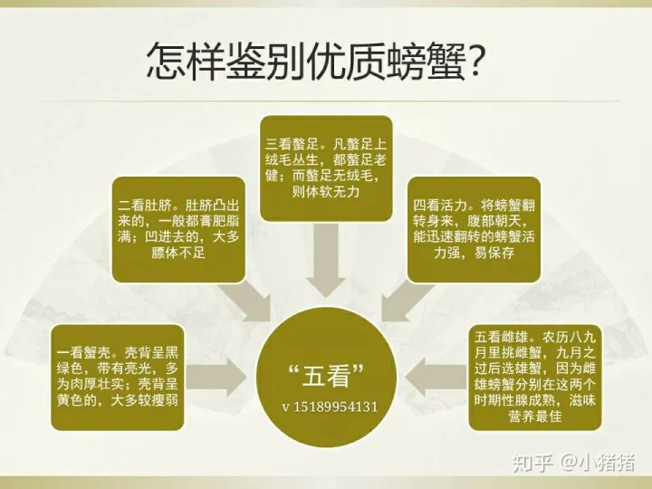 螃蟹怎样分辨，怎样鉴别优质螃蟹?