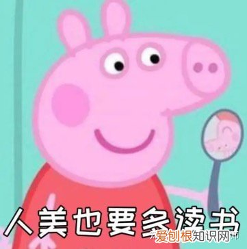 生活中的小常识都有哪些，有哪些必须了解的生活小常识？