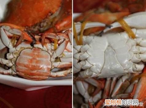 判断螃蟹公母的办法，螃蟹怎么挑公母？水产老板透露：注意这3处，是公是母一看便知