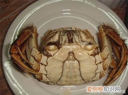 判断螃蟹公母的办法，螃蟹怎么挑公母？水产老板透露：注意这3处，是公是母一看便知