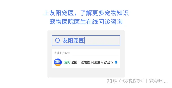 怎样分乌龟公母视频，怎样分乌龟公母?