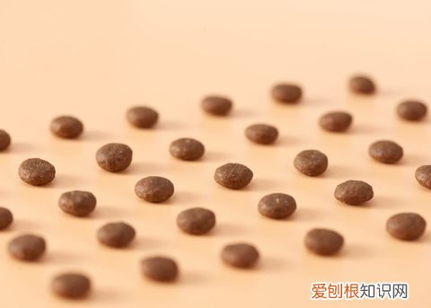 土猫的区别，“土猫”和“宠物猫”有什么区别？养了就知道，差别很大