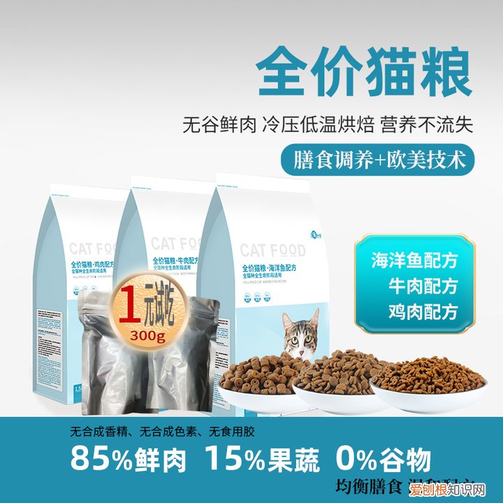 怎样分辨公猫还是母猫?，如何一眼辨别公猫or母猫