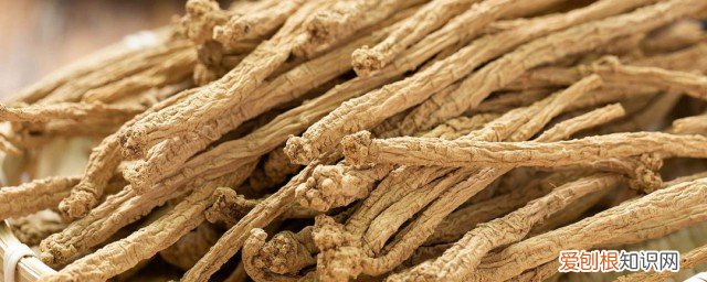 党参的用处和禁忌 党参的食用禁忌有什么