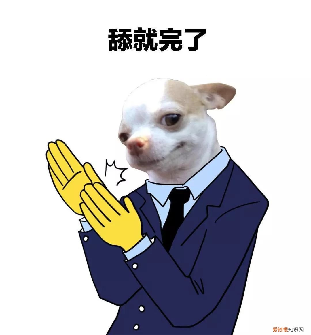 狗舔主人的嘴什么意思 狗舔主人是表达爱？真相太扎心！
