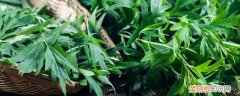 艾叶的食用禁忌和副作用 艾叶的食用禁忌