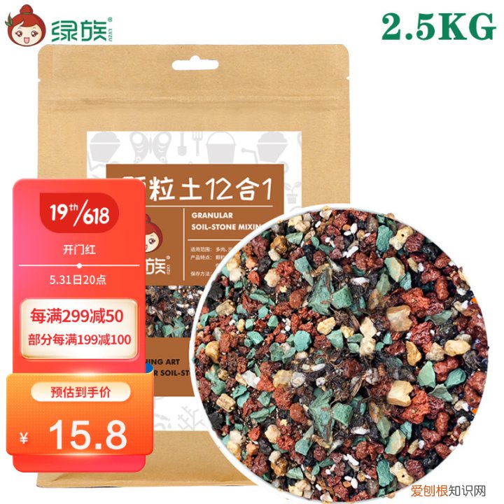 新手养哪种多肉，从零开始学养多肉，让你养活，养好看，养出色植物指南
