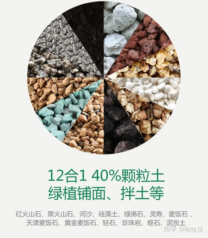 新手养哪种多肉，从零开始学养多肉，让你养活，养好看，养出色植物指南