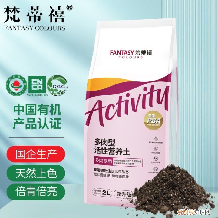 新手养哪种多肉，从零开始学养多肉，让你养活，养好看，养出色植物指南