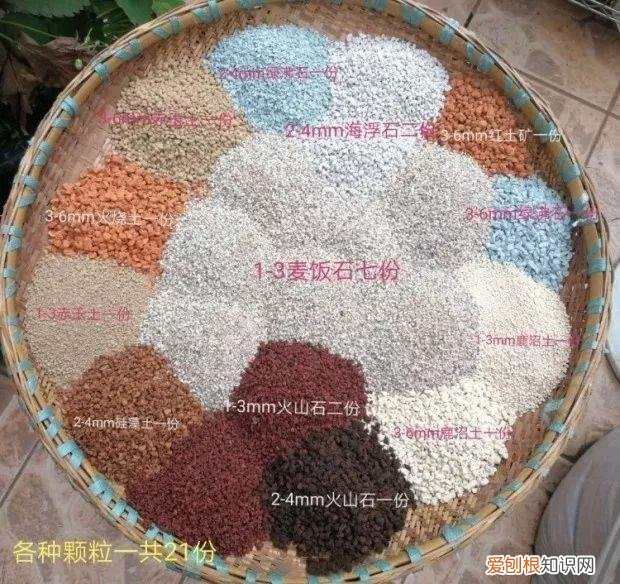 养多肉注意什么，多肉养护大总结，这7点学会了，啥肉都能养得活