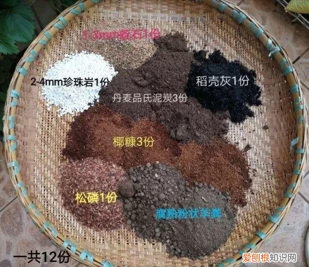 养多肉注意什么，多肉养护大总结，这7点学会了，啥肉都能养得活