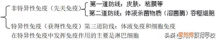 高中生物必修三动物和人体生命活动的调节，高中生物学习方法：动物和人体生命活动的调节知识点总结