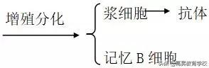 高中生物必修三动物和人体生命活动的调节，高中生物学习方法：动物和人体生命活动的调节知识点总结
