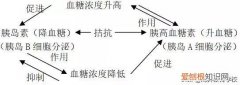 高中生物必修三动物和人体生命活动的调节，高中生物学习方法：动物和人体生命活动的调节