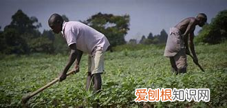 公元前5000年-公元500年 谈谈你对世界古代文明的认识，古代世界的知识积累
