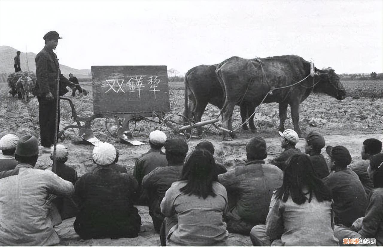 中国古代有趣的历史冷知识，四个有趣的中国历史冷知识