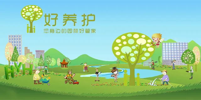 给我们开工，开工了，你需要这样的一盆转运花!