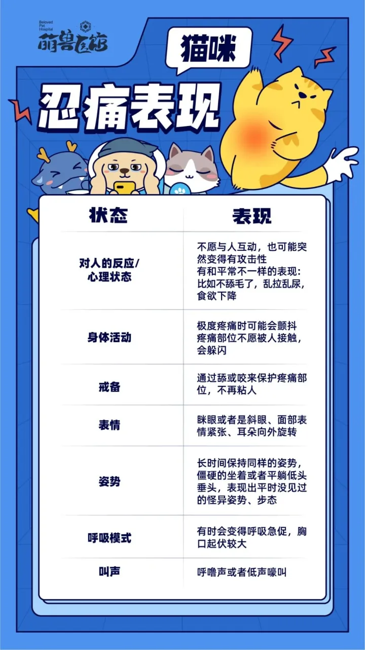 怎么分辨宠物兔和家兔，怎么辨别宠物在忍痛？别忽视患病的早期征兆！