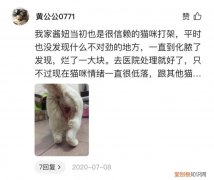 怎么分辨宠物兔和家兔，怎么辨别宠物在忍痛？别忽视患病的早期征兆！